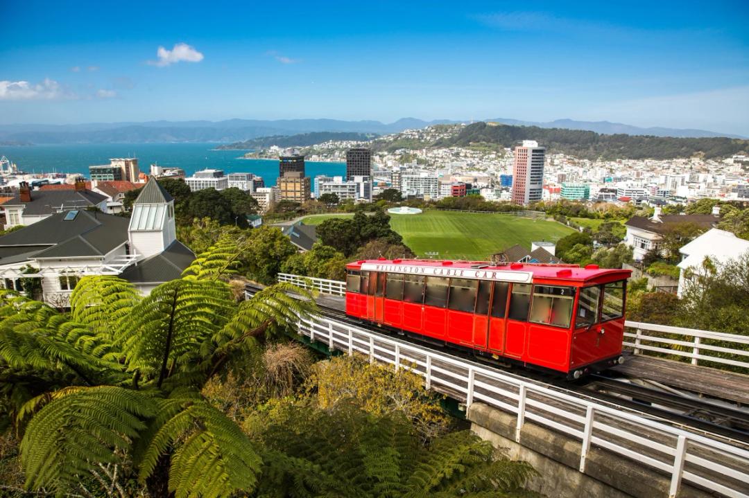 https://media.leisurecom.com/cruise/image-2025-11-14-08-46-44.webp