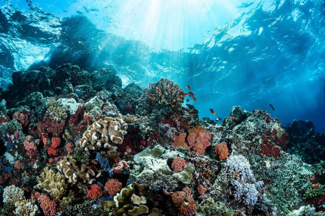 https://media.leisurecom.com/cruise/image-2026-01-13-19-40-52.webp