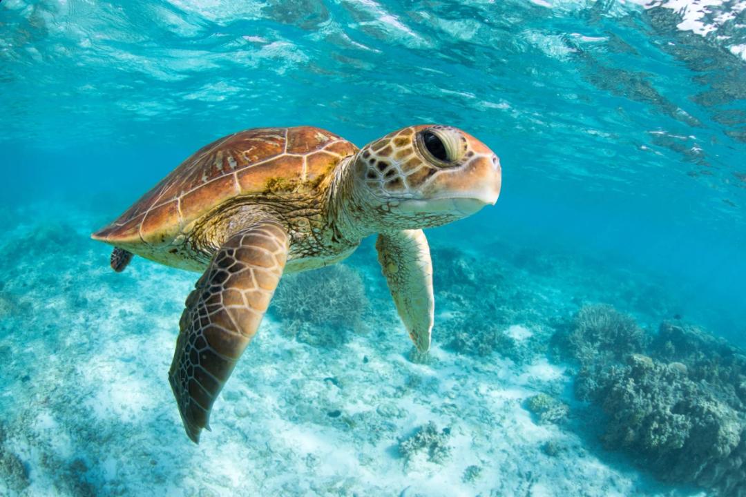 https://media.leisurecom.com/cruise/image-2026-04-20-17-01-29.webp